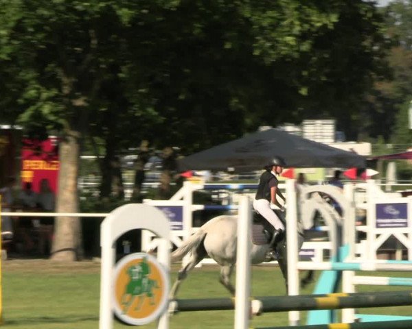Reitturnier Münchehofe 2023