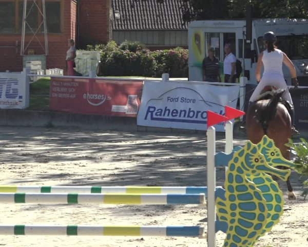 Reitturnier Osnabrück 2023