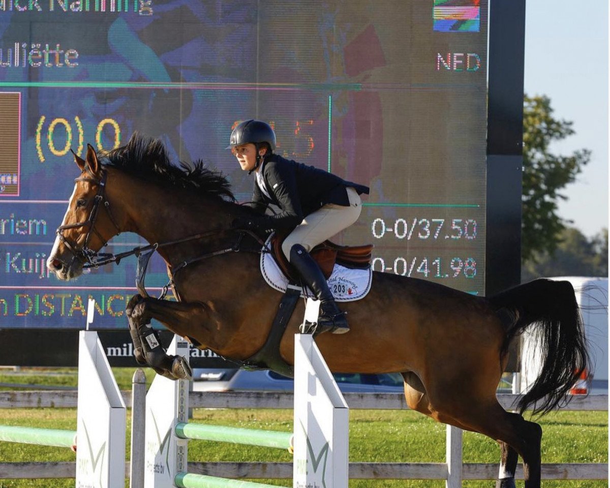jumper Juliette (KWPN (Royal Dutch Sporthorse), 2014, from Dantos)