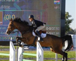 jumper Juliette (KWPN (Royal Dutch Sporthorse), 2014, from Dantos)