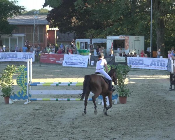 Reitturnier Osnabrück 2023
