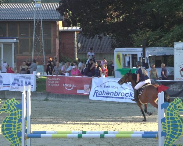 Reitturnier Osnabrück 2023
