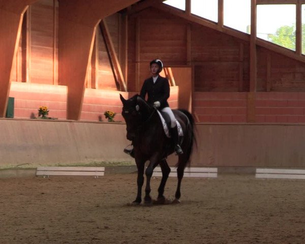 Reitturnier Dortmund-Barop 2023