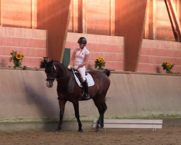 Reitturnier Dortmund-Barop 2023