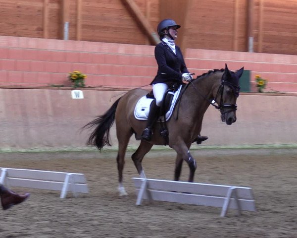 Reitturnier Dortmund-Barop 2023