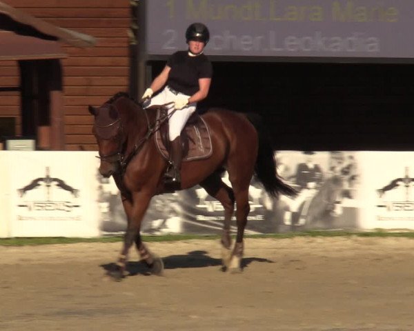 Reitturnier Dortmund-Barop 2023