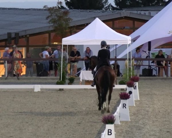 Reitturnier Leichlingen-Witzhelden 2023
