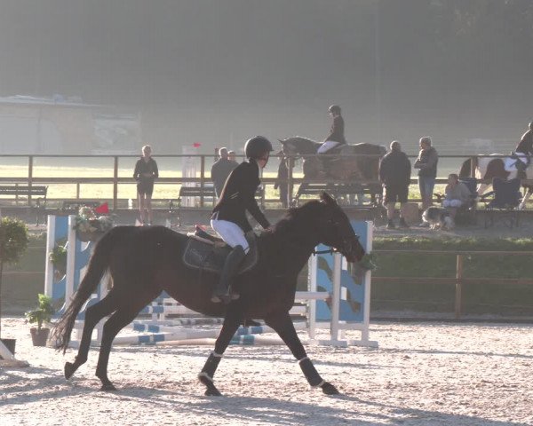 Reitturnier St. Ulrich am Pillersee 2023
