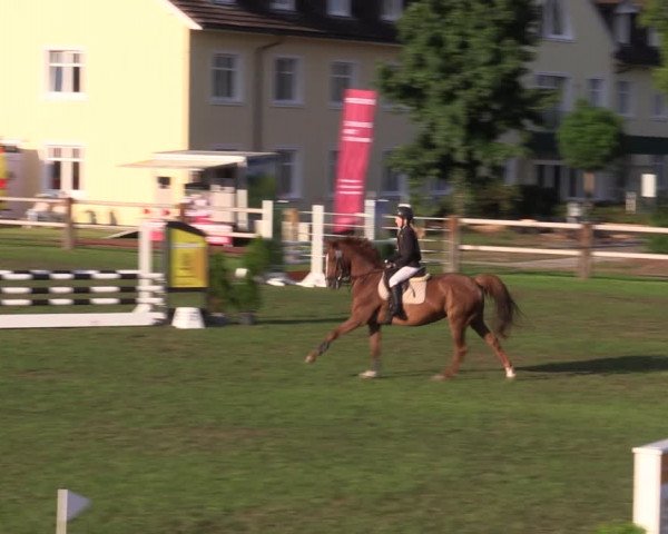 Reitturnier Niemegk / Neuendorf 2023