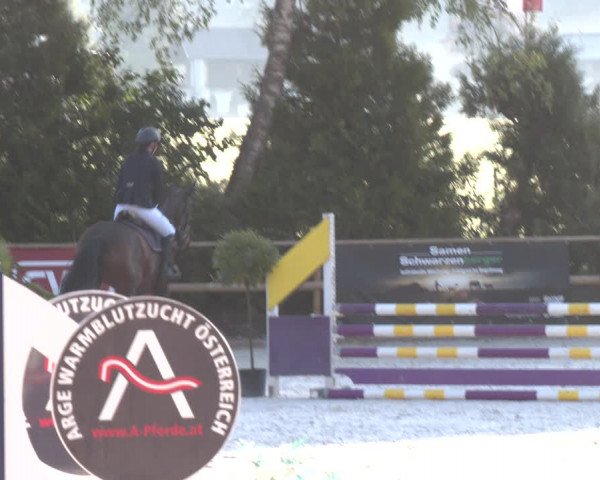 Reitturnier St. Ulrich am Pillersee 2023
