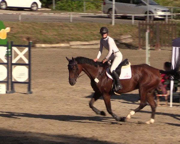 Reitturnier Langenleuba - Oberhain 2023