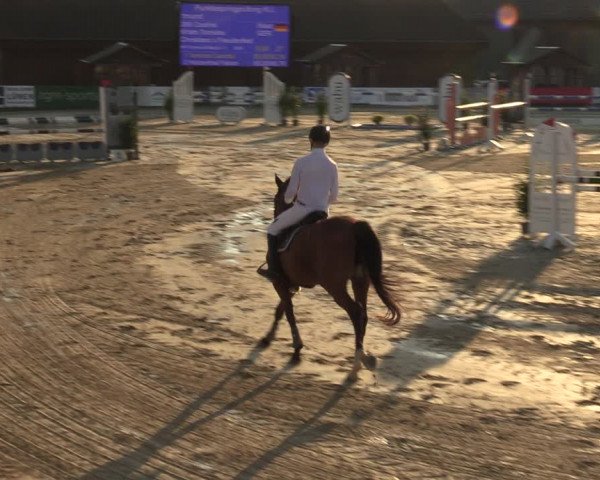 Reitturnier Dortmund-Barop 2023