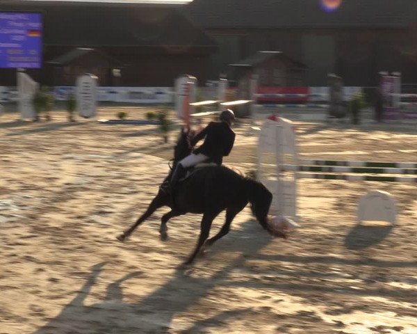 Equestrian Show Dortmund-Barop 2023