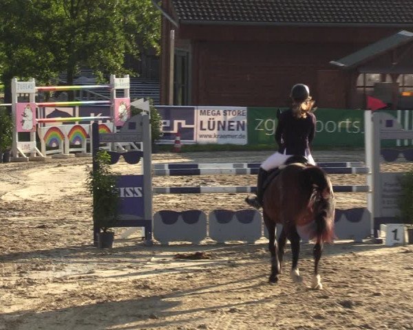 Reitturnier Dortmund-Barop 2023