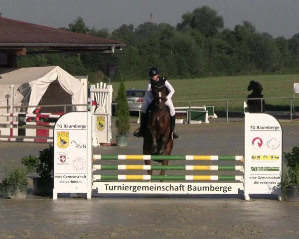 Reitturnier Appelhülsen 2023
