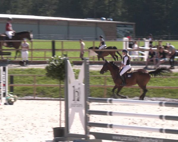 Reitturnier St. Ulrich am Pillersee 2023