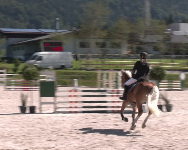 Reitturnier St. Ulrich am Pillersee 2023