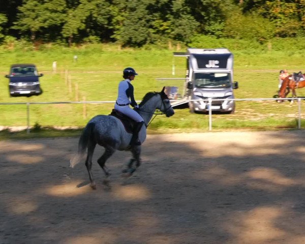 Reitturnier Bad Liebenstein/Sorga 2023