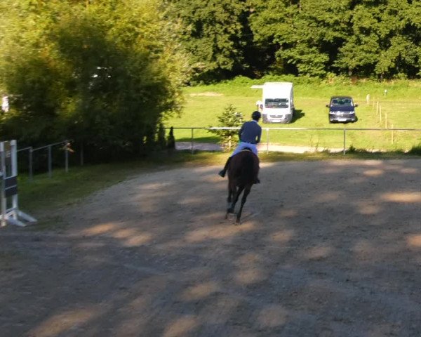 Reitturnier Bad Liebenstein/Sorga 2023
