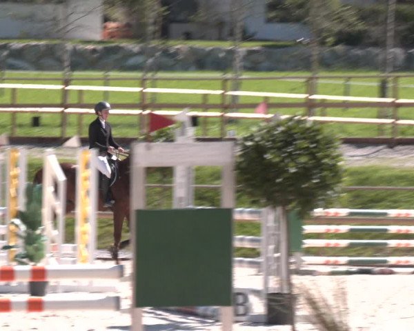 Reitturnier St. Ulrich am Pillersee 2023
