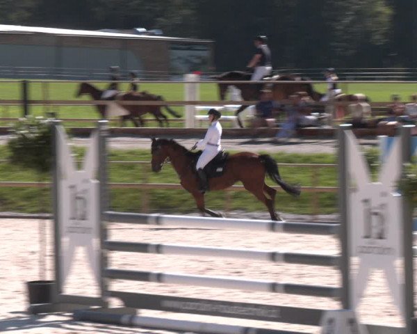 Reitturnier St. Ulrich am Pillersee 2023
