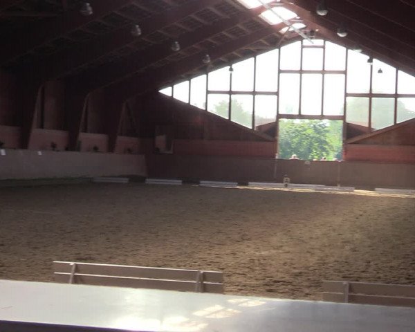 Reitturnier Dortmund-Barop 2023