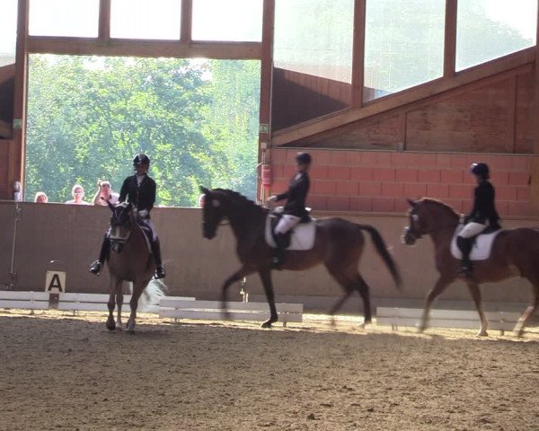 Reitturnier Dortmund-Barop 2023