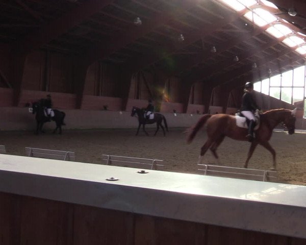 Reitturnier Dortmund-Barop 2023