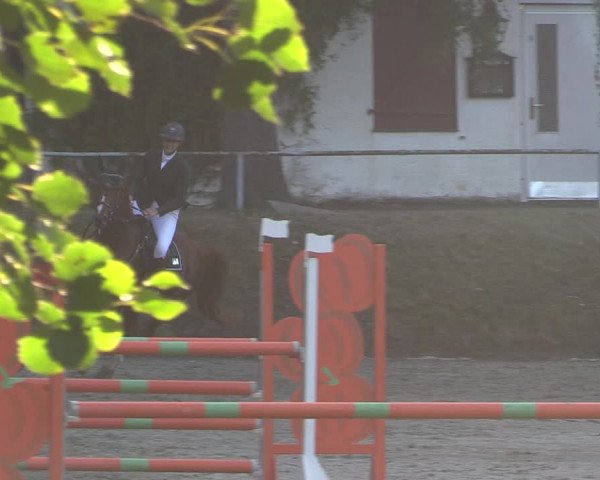 Reitturnier Langenleuba - Oberhain 2023