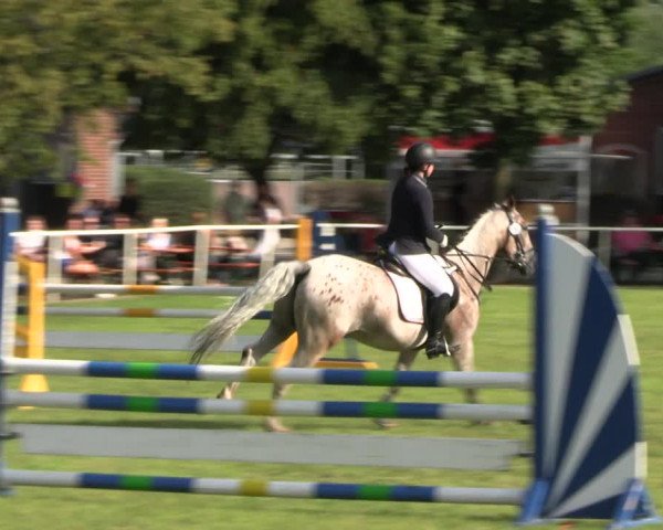 Reitturnier Münchehofe 2023