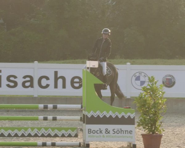 Reitturnier Babenhausen 2023
