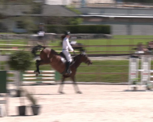 Reitturnier St. Ulrich am Pillersee 2023