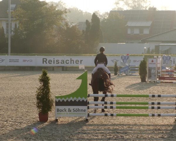 Reitturnier Babenhausen 2023