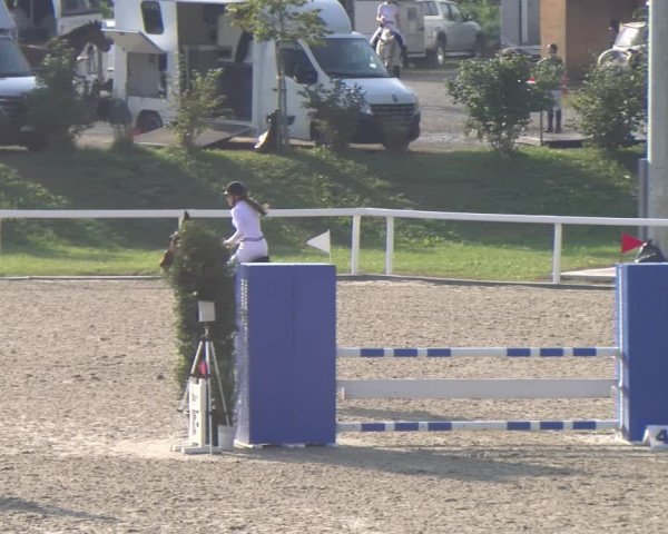 Reitturnier Bülach 2023