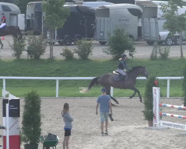 Reitturnier Bülach 2023
