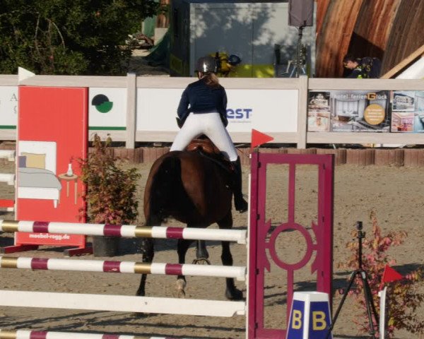 Reitturnier Winterlingen 2023