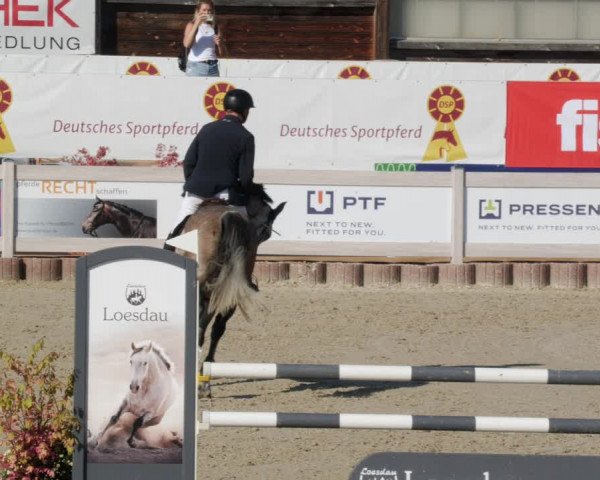 Reitturnier Winterlingen 2023