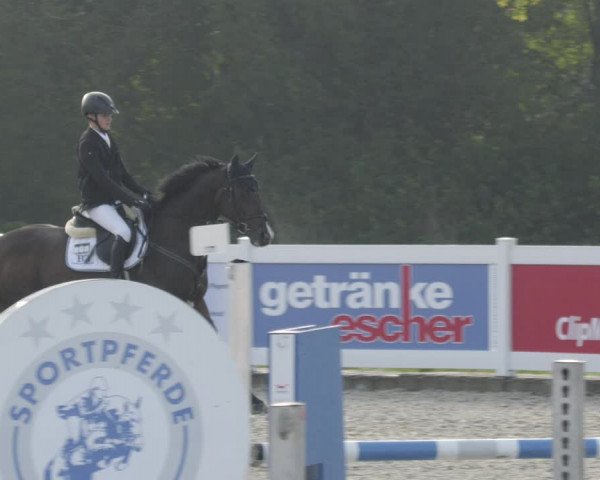 Reitturnier Babenhausen 2023
