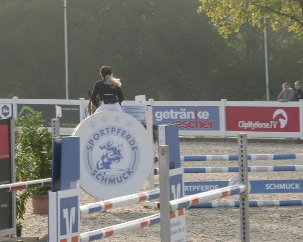 Reitturnier Babenhausen 2023