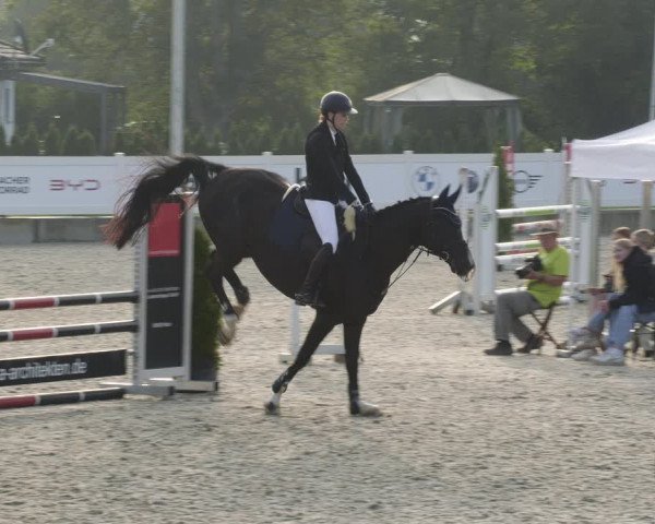 Reitturnier Babenhausen 2023