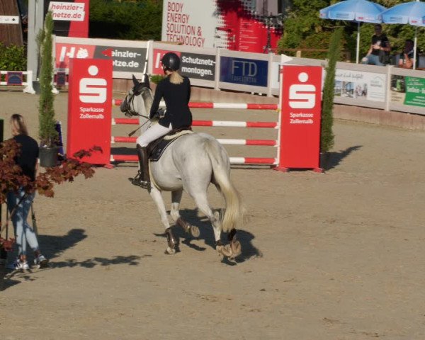 Reitturnier Winterlingen 2023