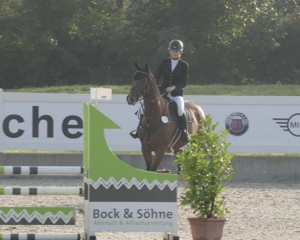 Reitturnier Babenhausen 2023