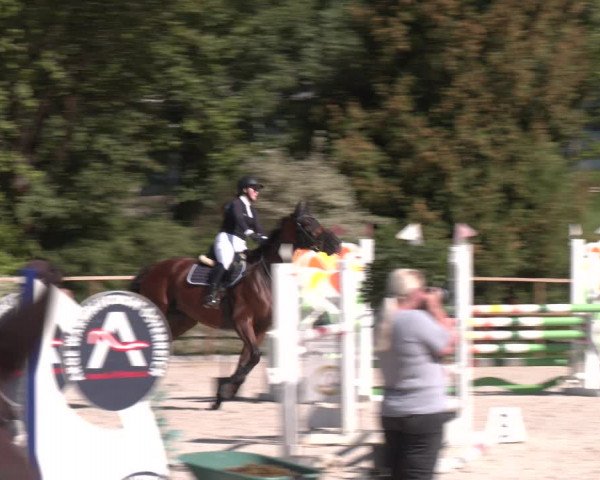 Reitturnier St. Ulrich am Pillersee 2023