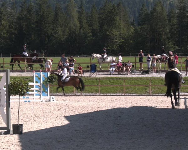 Reitturnier St. Ulrich am Pillersee 2023
