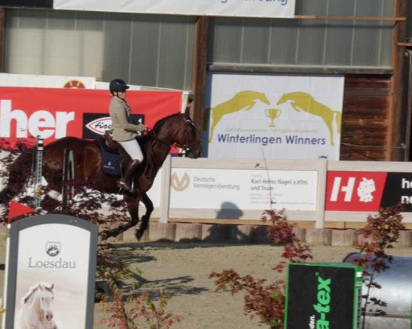 Reitturnier Winterlingen 2023