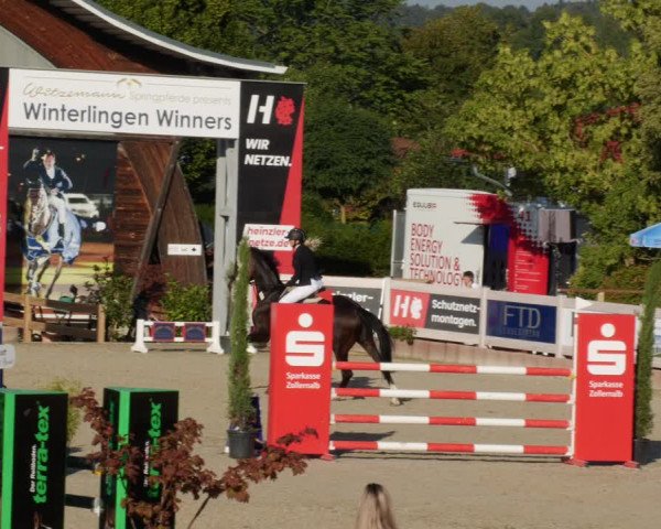 Reitturnier Winterlingen 2023