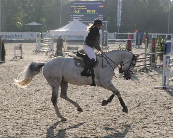 Reitturnier Babenhausen 2023