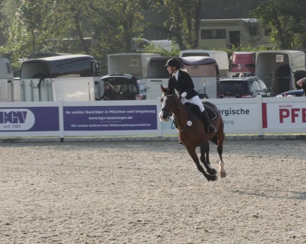 Reitturnier Babenhausen 2023