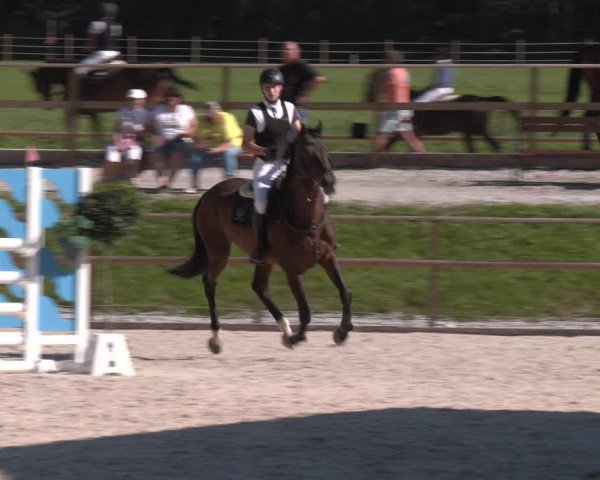 Reitturnier St. Ulrich am Pillersee 2023