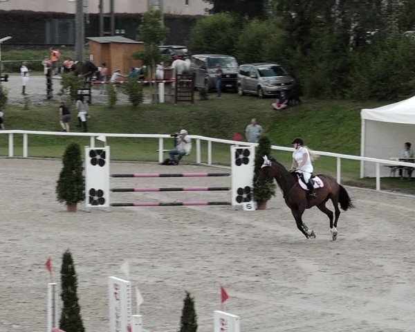 Pferdesporttage Bülach 2021